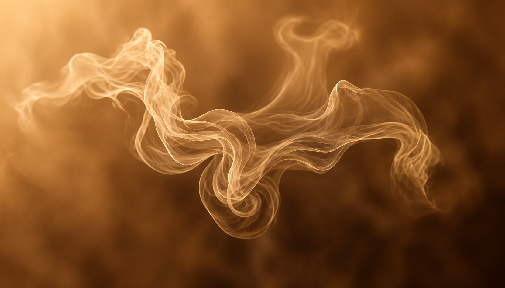 Ceylon cinnamon quills and the delicate aroma they release